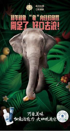 2022娱乐圈吃瓜乱象,揭秘吃瓜乱象背后的真相与反思